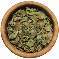 Черника побеги