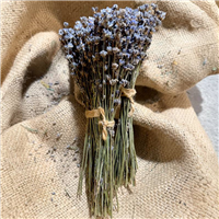 Лаванда пучок