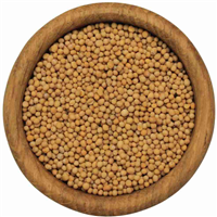 Горчица белая семена