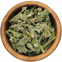 Алтей трава