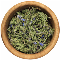 Змієголовник молдавський трава