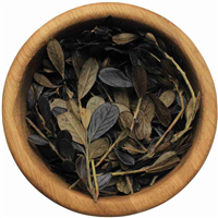 Брусника лист со стеблем